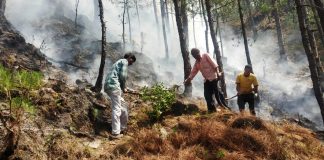 villagers controlled forest fire in chamoli